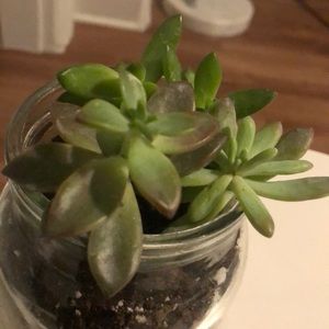 Meet your Posher, Lande